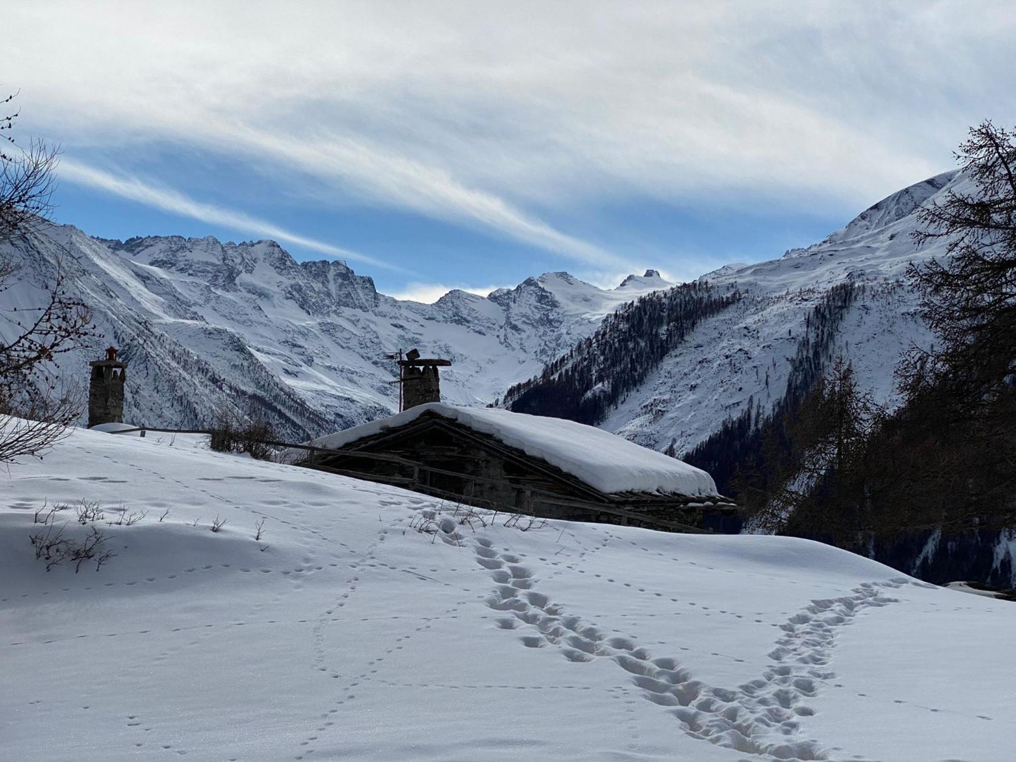 Hotel Belvedere Cogne Dış mekan fotoğraf